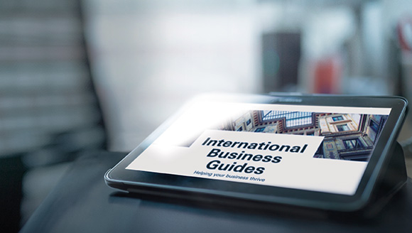 HSBC International Business Guides 