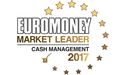 HSBC Business Banking Singapore - Euromoney Market Leader Cash Management 2017 Award