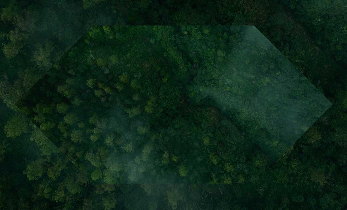 Protect banking solutions from HSBC for financial protection