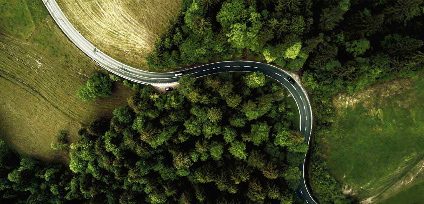 ways your business can go green in 2021