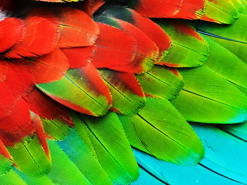 global-trade-solutions-image-asti-story global-trade-solutions-image-asti-story