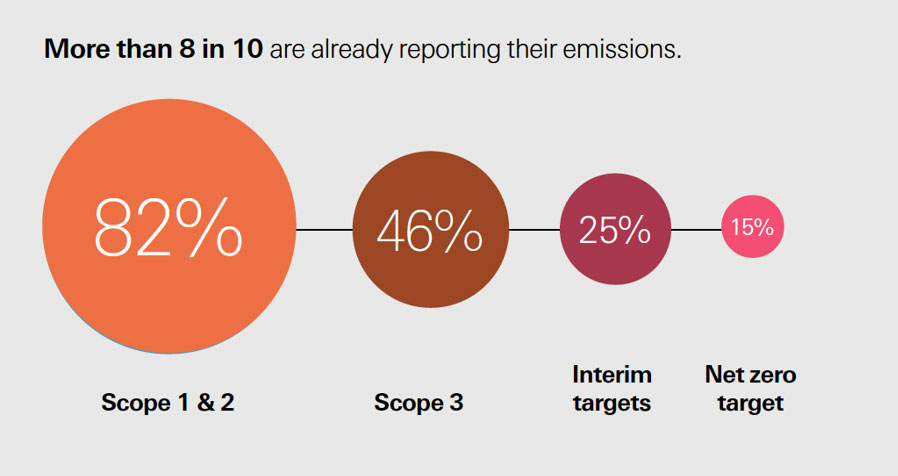 A professional reviewing transition planning and sustainability reporting. A professional reviewing transition planning and sustainability reporting.