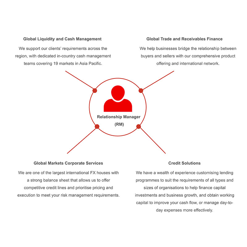 relationship manager expertise infographic relationship manager expertise infographic