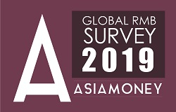global RMB survey 2019 logo