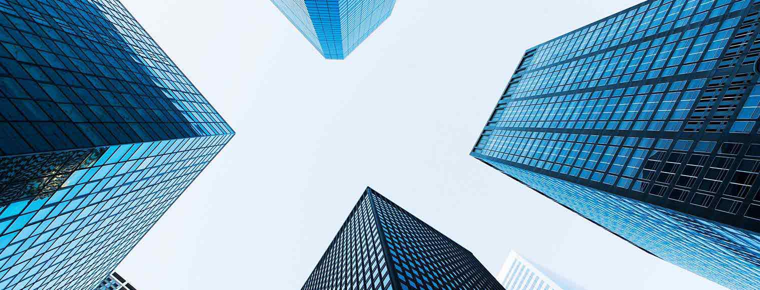 HSBC Strategic Growth Opportunities  HSBC Strategic Growth Opportunities