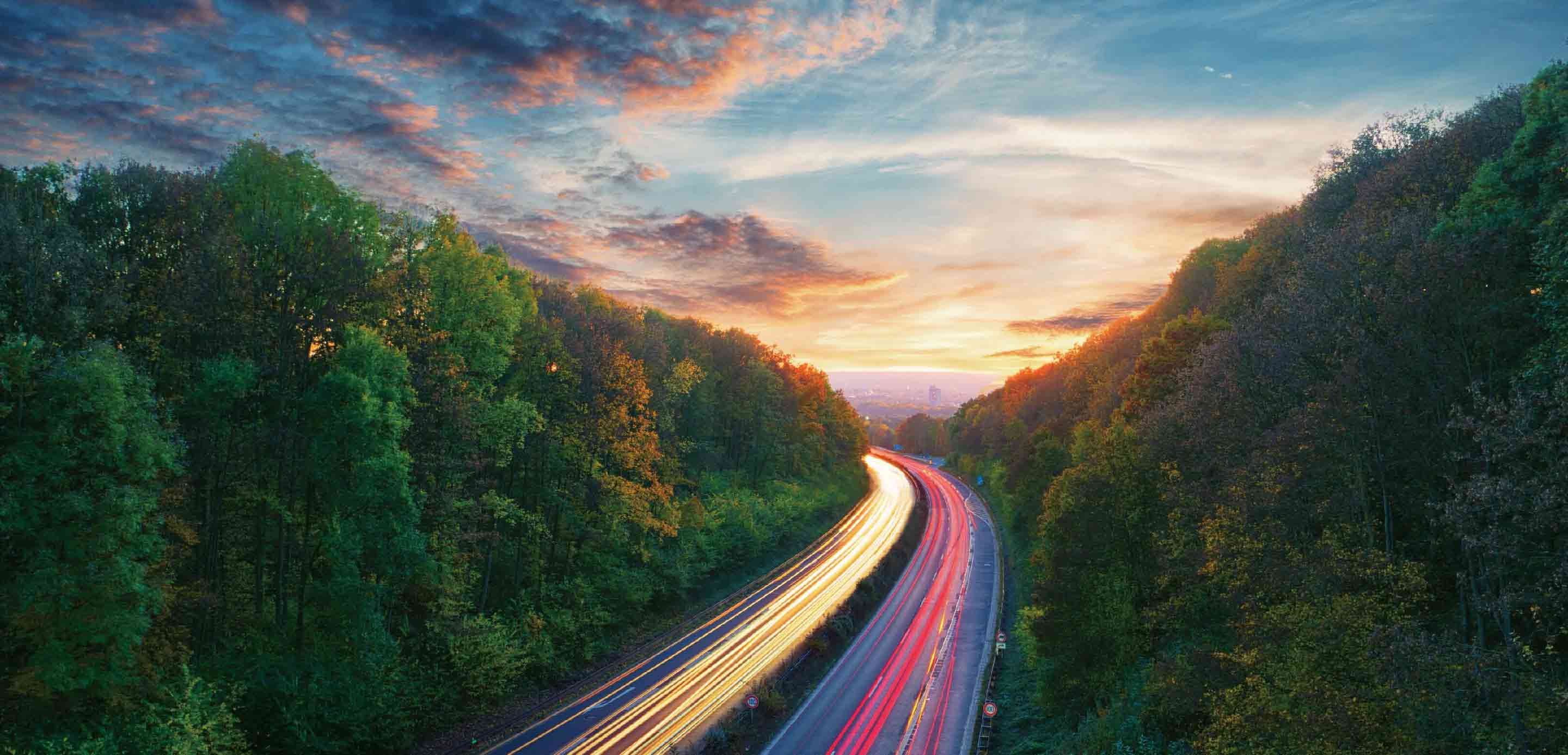 Global Supply Chains