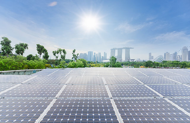 Green SME myths about sustainability campaign banner. Green SME myths about sustainability campaign banner.