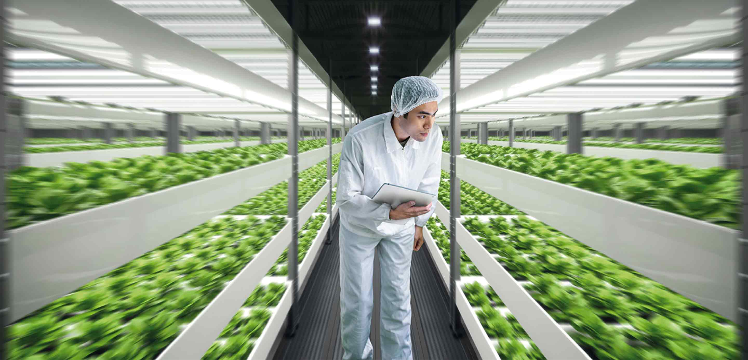 Reports and insights banner image