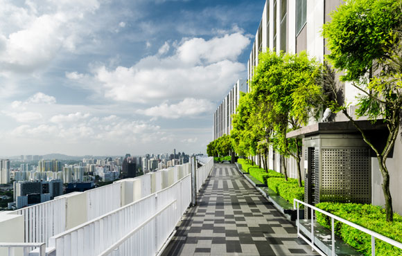 Why businesses in Singapore should go green Why businesses in Singapore should go green