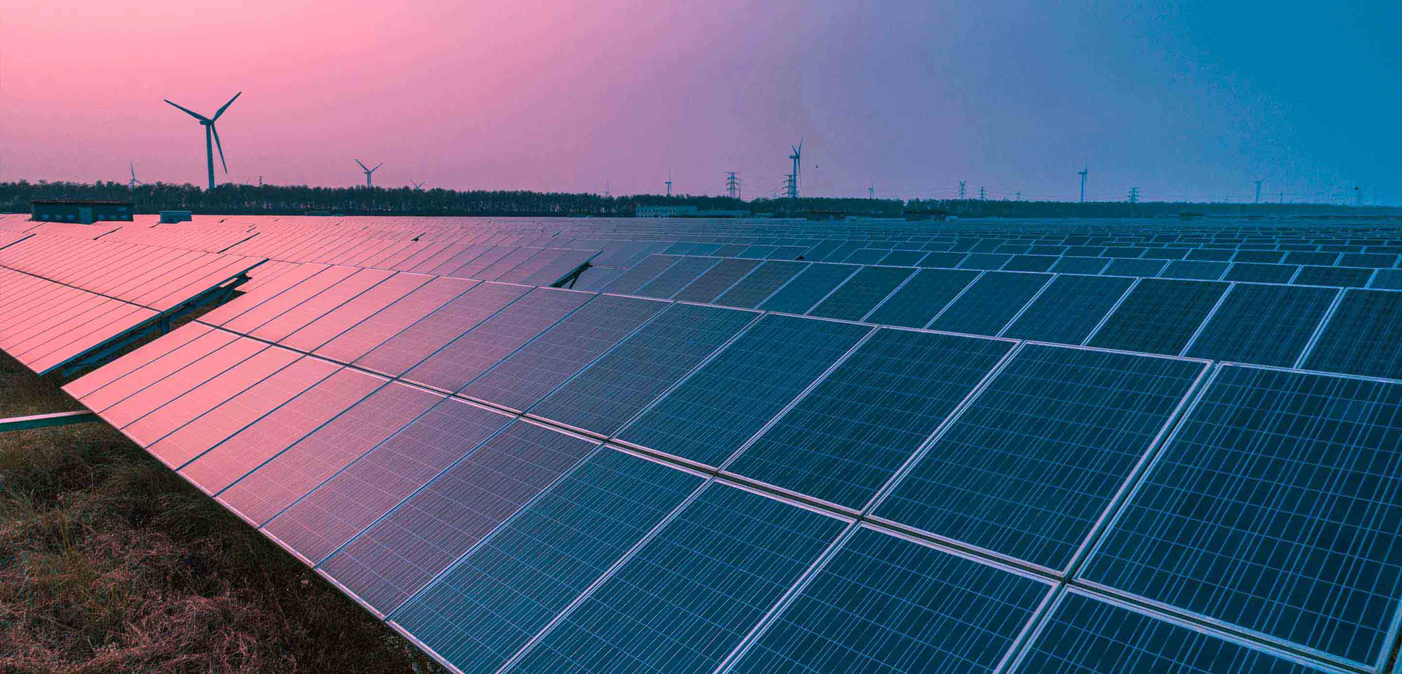 HSBC sustainable financing solution, Business Plan for the Planet HSBC sustainable financing solution, Business Plan for the Planet