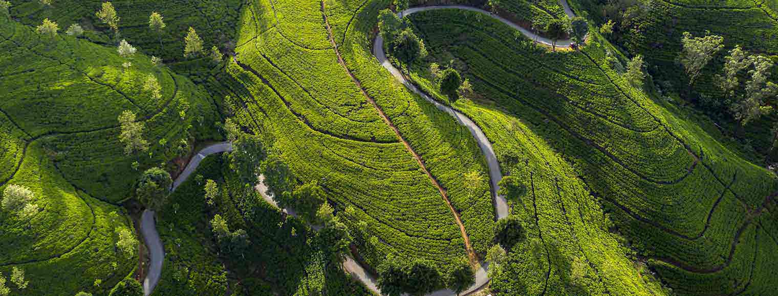 HSBC Contact Us  HSBC Contact Us