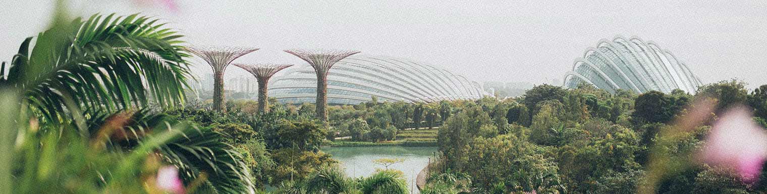 HSBC business insights: how UK-Singapore FTA brings certainty and business growth HSBC business insights: how UK-Singapore FTA brings certainty and business growth